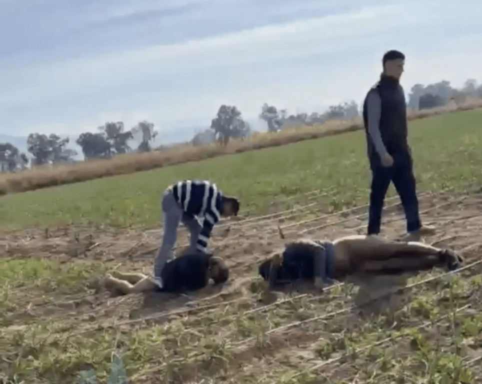 Persecución, vuelco y dos detenidos tras un presunto robo en Bella Vista