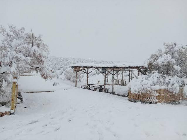 Nuevo aviso por nevadas intensas en la cordillera sanjuanina para este jueves