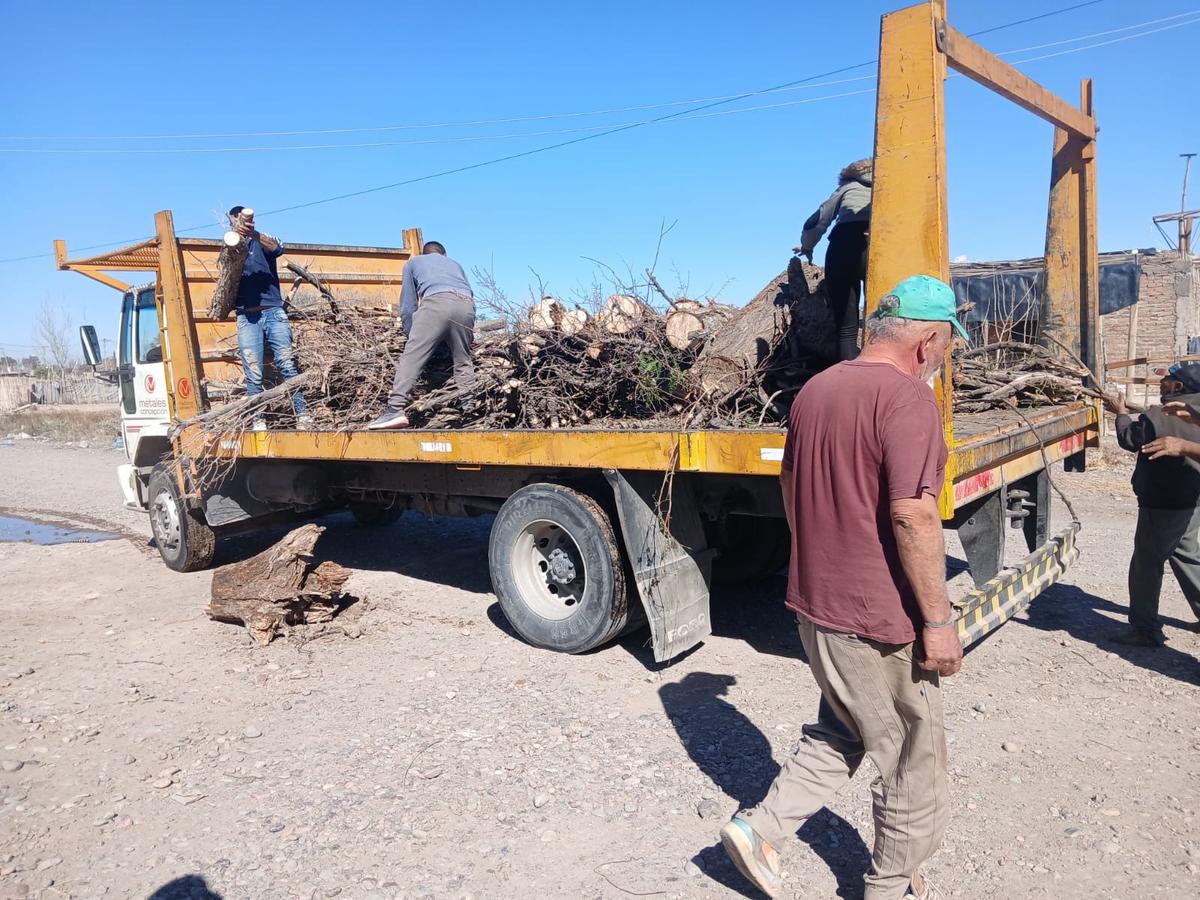 Vecinos de Santa Lucía juntan leña de las podas y la reparten entre familias que la necesitan