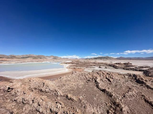 Aprobación de un nuevo RIGI impulsa un proyecto de litio en Catamarca