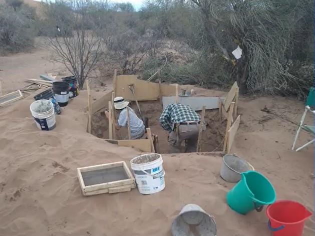 Insectos en la escena del crimen: el hallazgo sanjuanino que puede cambiar una causa