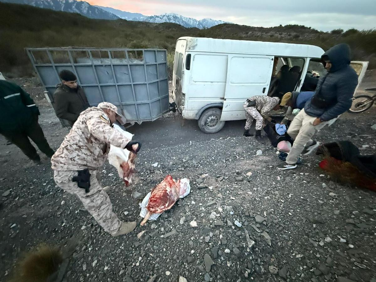 Pararon una combi en Pedernal y adentro encontraron carne de guanaco y cuchillos