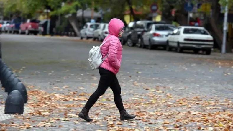 Frío y con niebla: el viernes se hace sentir en toda la provincia