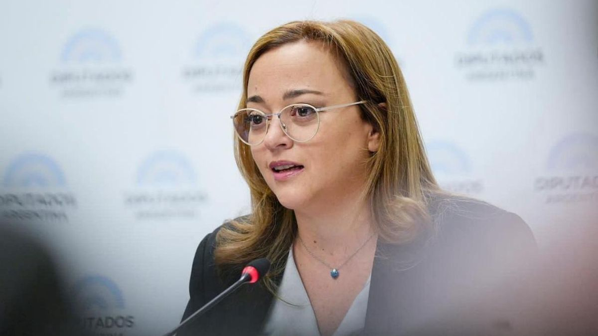 Moreau apuntó contra la Inocencia Fiscal y la tildó de maniobra que no cambia nada