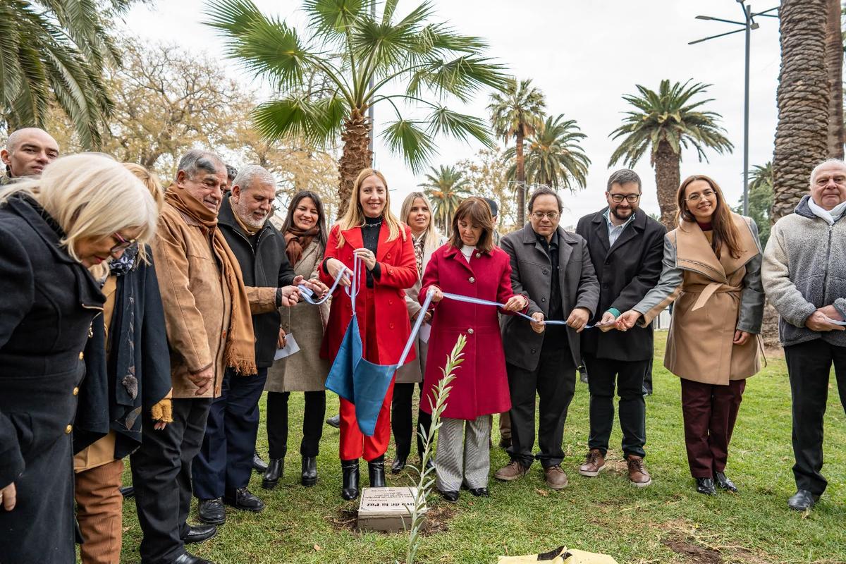 Plaza Aberastain fue escenario del Olivo de la Paz y un llamado a convivir en armonía