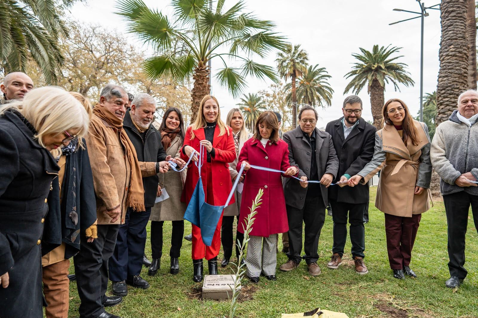 Plaza Aberastain fue escenario del Olivo de la Paz y un llamado a convivir en armonía