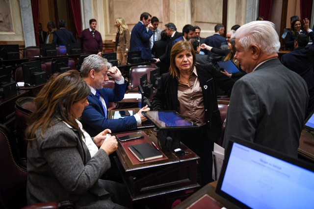 El Senado frenó el avance de la reforma sobre propiedad privada y el oficialismo ganó tiempo