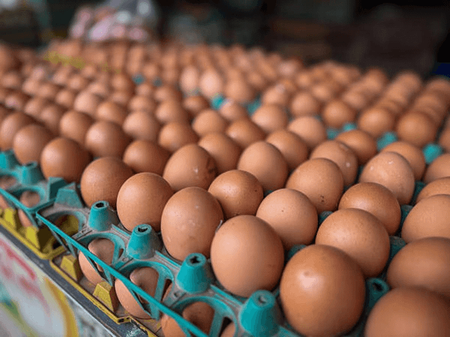 Suben con fuerza las ventas externas de cerdo y ovoproductos en el arranque de 2026