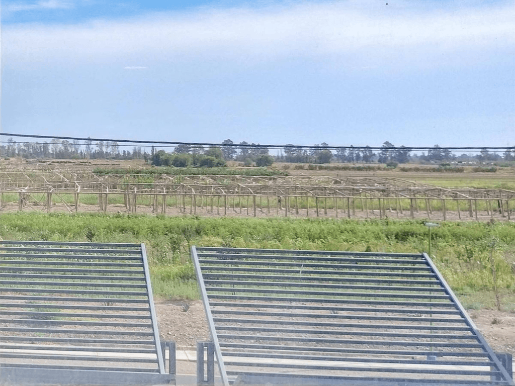 En San Juan, el INTA zafa por ahora del plan de venta de tierras