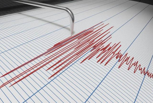 Un fuerte sismo despertó a los sanjuaninos durante la madrugada
