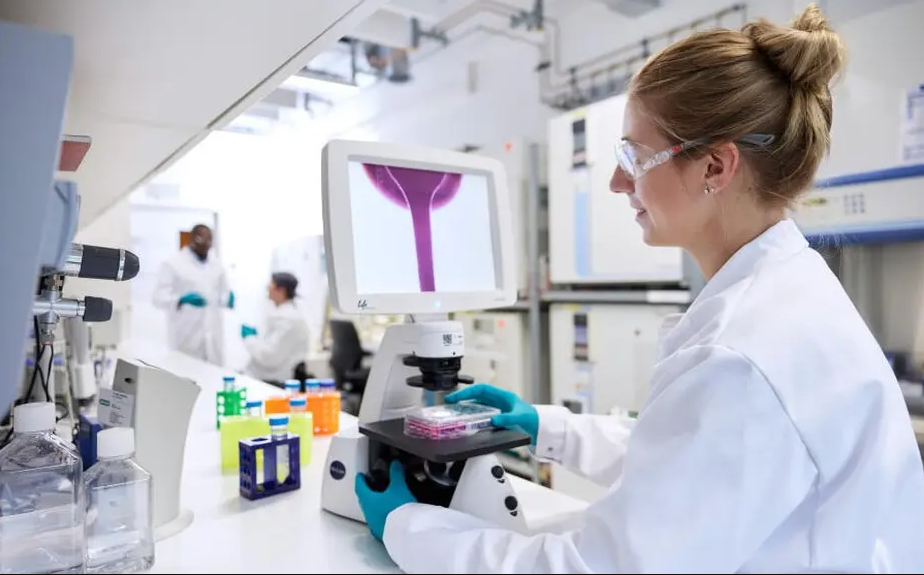 Milei avanza con un proyecto que sacude farmacias, campo, cultura y finanzas