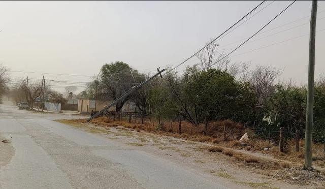 Fuertes ráfagas dejaron árboles caídos y cortes de cables en Valle Fértil