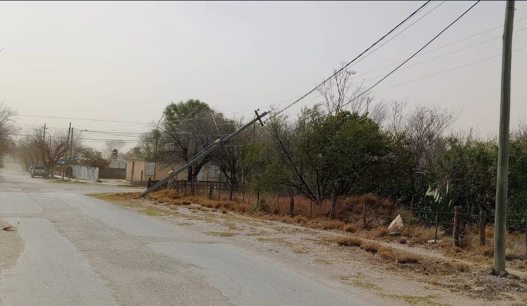 Fuertes ráfagas dejaron árboles caídos y cortes de cables en Valle Fértil