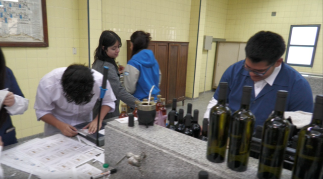 La bodega de la Escuela de Enología retomó la producción y alcanza casi 1,5 millones de litros