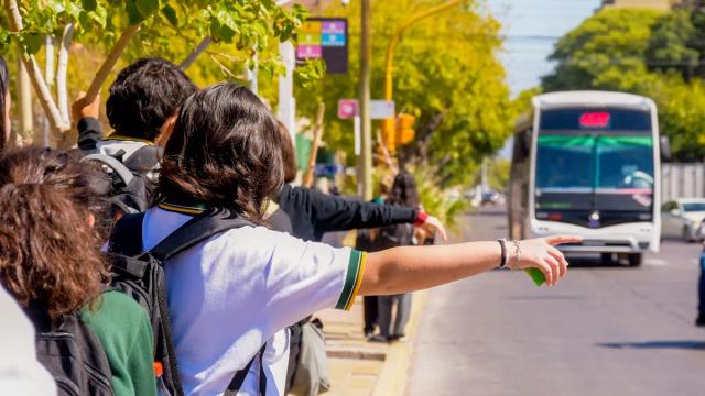 Tras las fallas en la SUBE, detectaron otro problema: el uso incorrecto del boleto gratuito