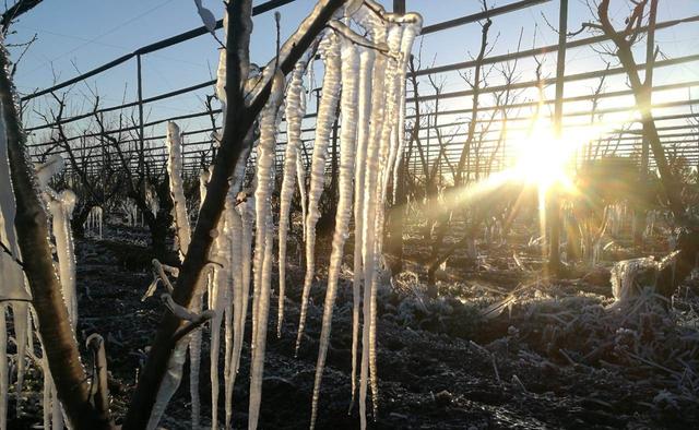 Comienza el invierno en Argentina: qué es el solsticio y cuándo ocurre