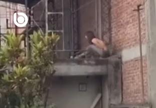 Vecinos escucharon un pedido desesperado y terminó con un rescate en barrio Belgrano
