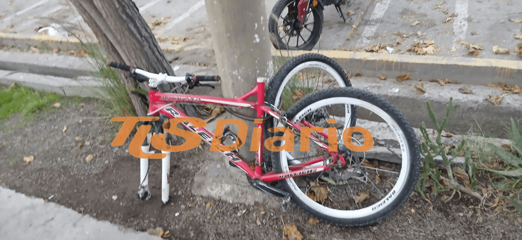 La vio atada en pleno Centro Cívico y reconoció la bicicleta que le habían robado en febrero