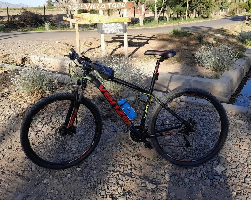 Un entrenador de San Martín denunció el robo de su bicicleta en una zona céntrica
