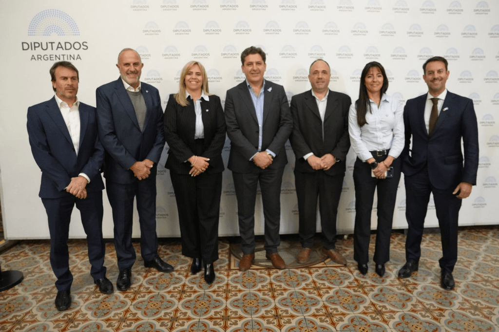 Presentan una ley para incentivar bebidas elaboradas con jugos naturales