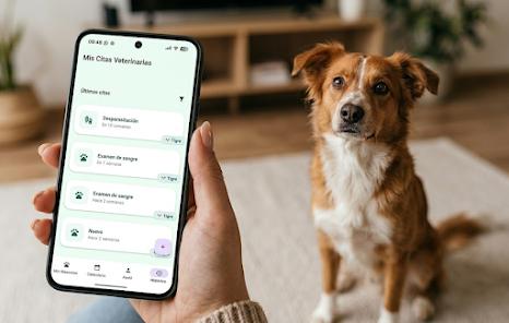 Desde San Juan lanzan una app para ordenar la salud de perros y gatos