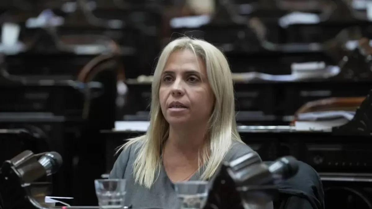 Zona Fría: Diputados avaló cambios y Picón dijo que el beneficio seguirá para los que realmente lo necesitan