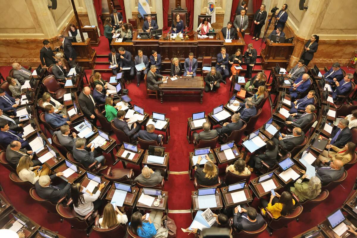 El Ejecutivo mandó al Senado un proyecto para cambiar de raíz las sociedades comerciales
