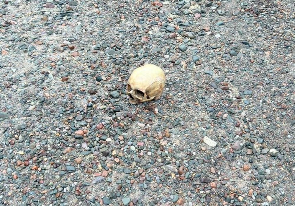 Un cráneo humano apareció en Punta Negra y la Justicia intenta atar cabos