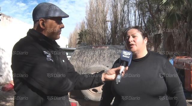 Una dueña relató cómo hallaron a su perra en la copa de un árbol y reavivó la versión de una bruja