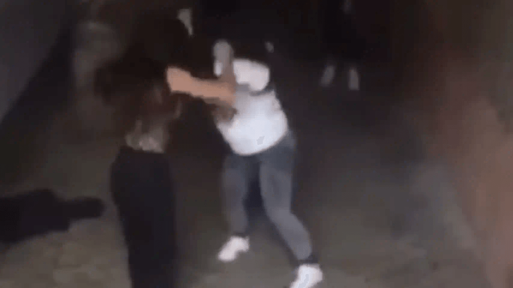 Pedradas, cuchillazos y supuestos tiros en el B° Conjunto 8: una joven terminó herida