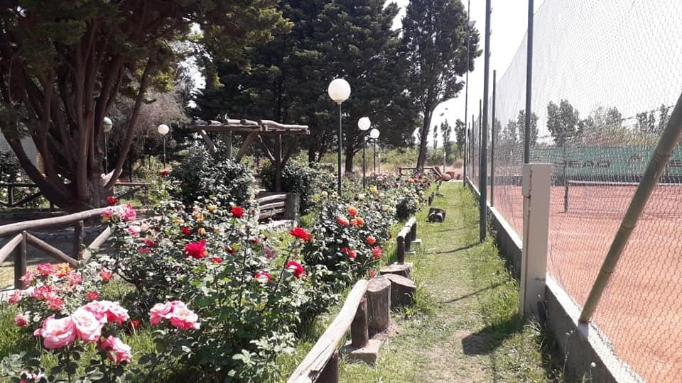 Se desplomó durante una poda y lucha por sobrevivir tras quedar en estado crítico