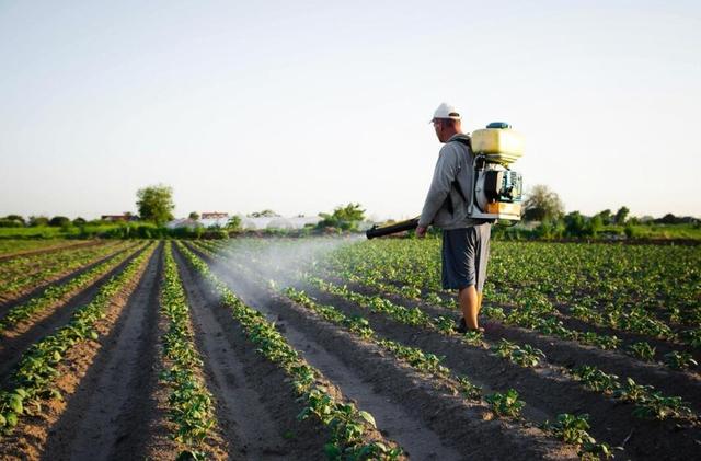 Punto Pyme habilitó créditos para la compra de agroquímicos en el sector agrícola