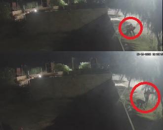 Una mujer fue asaltada mientras caminaba con su bebé y el episodio quedó grabado